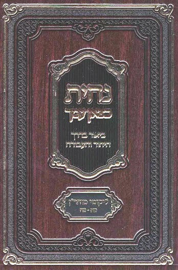 NEW! Nachisa Katzon Amecha - Likutei Moharan - Rav YM Morgenstern