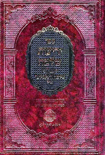 NEW! Yerios Shlomo - Rav Shlomo Wexler - Likutei Halachos