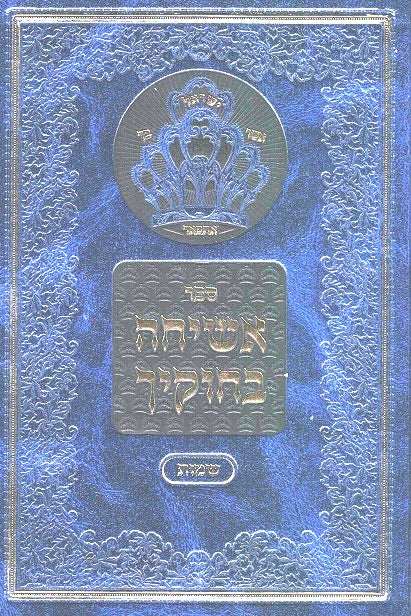 Asicha Bechukecha - New Volume - Chumash Shemos - Rav Kluger