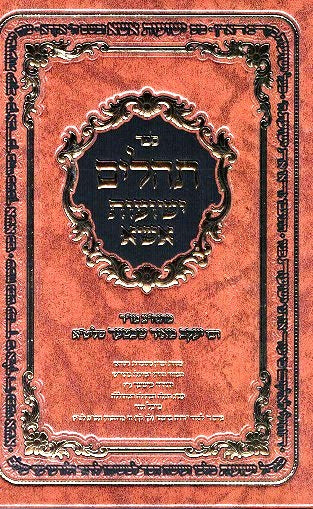 Tehilim Yeshuos Essa - Rabbi Y.M .Schechter