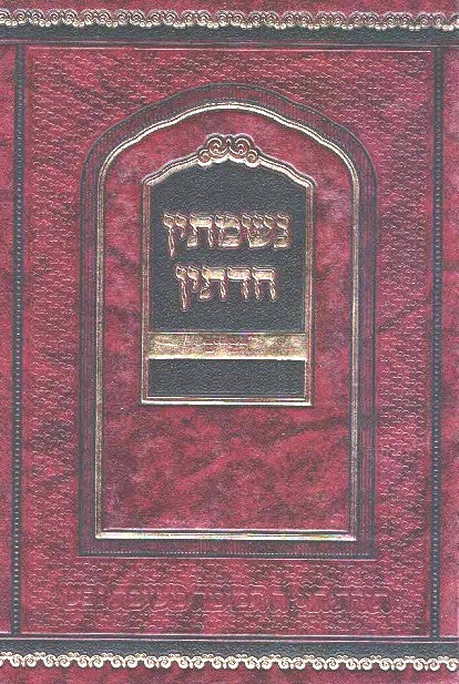 NEW! Nishmasin Chadetin  - Devarim Rav YM Morgenstern  796 pages