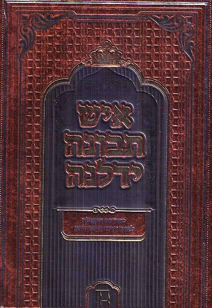 BACK IN STOCK!   Ish Tevuna Yidlena Vol 1  -  Kisvei Arizal In The Light Of Breslov