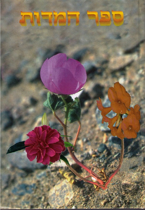 Sefer Hamidos Hashalem - Three Types Of Marei Mekomos