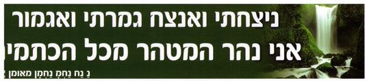 Sticker-Nitzachti V'Anatzeach