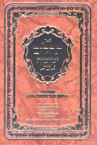 Yeshuos Essa- Tehilim - Rav Ym Schechter